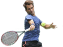 Roger Federer image